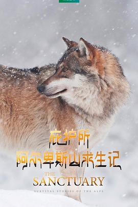 庇护所：阿尔卑斯山求生记封面图