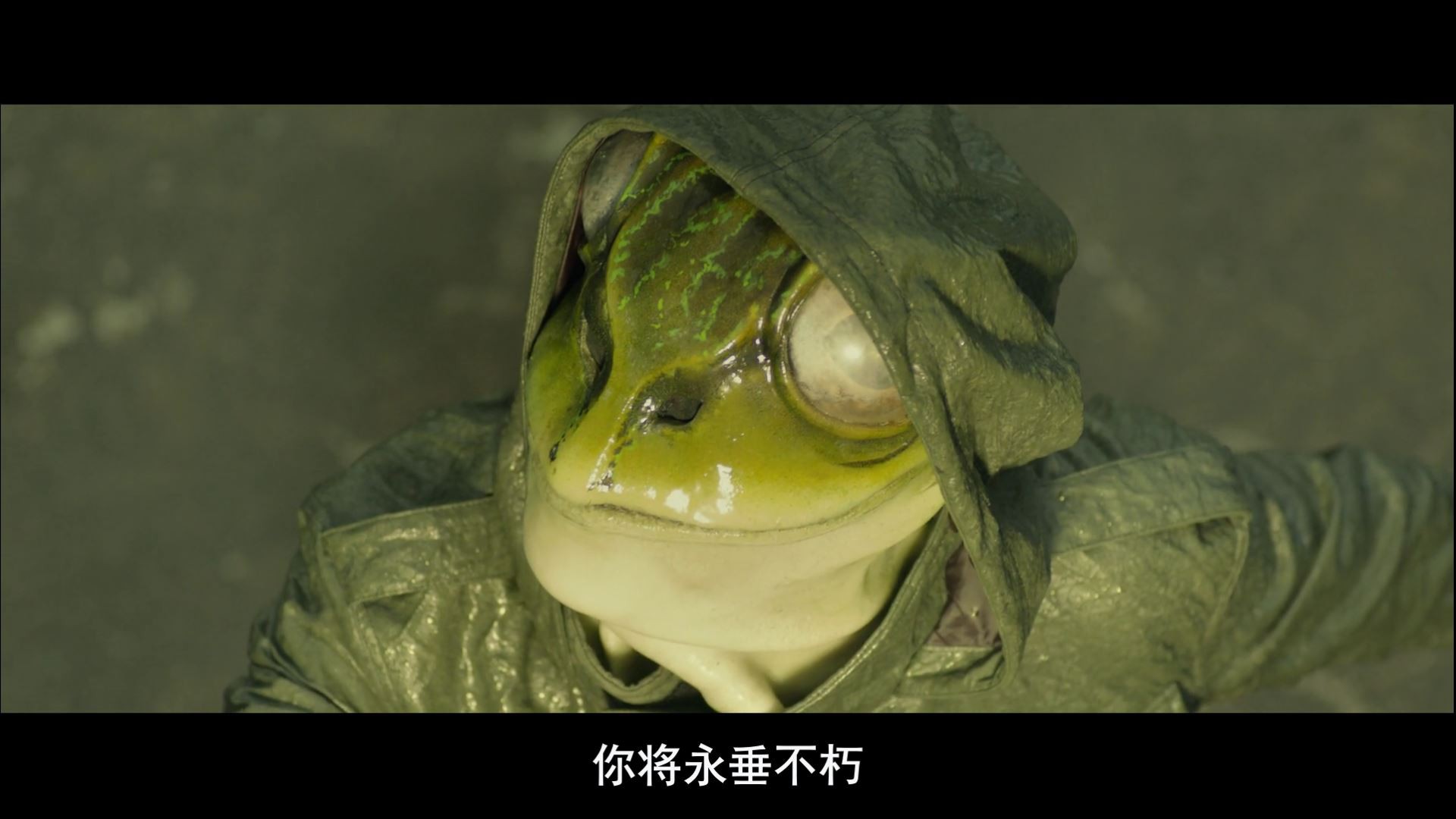 《恶魔蛙男》2016惊悚犯罪.BD1080P.日语中字截图
