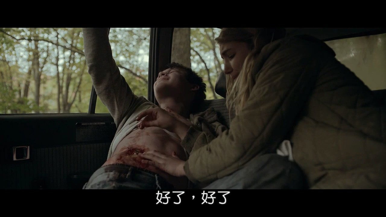 《残酷的梦》2016加拿大惊悚.HD720P.英语中字截图