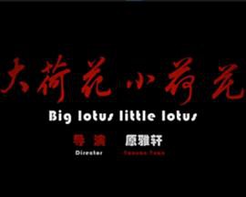 大荷花小荷花封面图