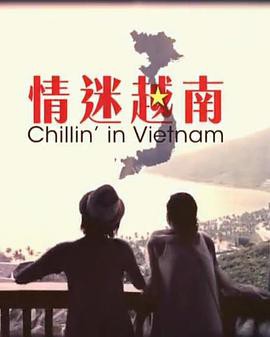 情迷越南粤语封面图