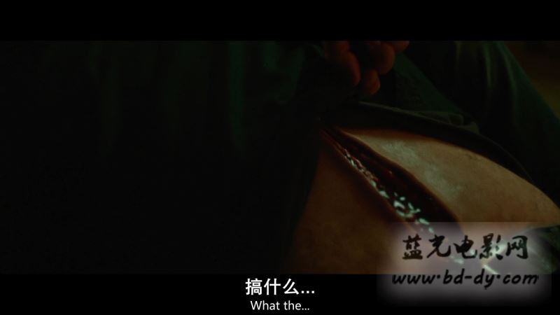 《绿色房间》2015高分犯罪惊悚.BD720P.高清中英双字截图