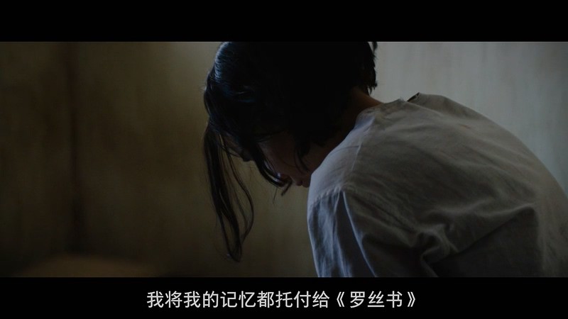 2016爱情历史《秘密手稿》BD720P.英语中字截图