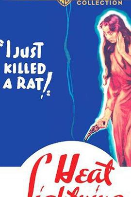 荒漠来客封面图