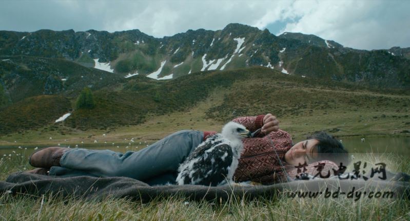 《鹰之路》2015剧情冒险.BD720P.中英双字截图
