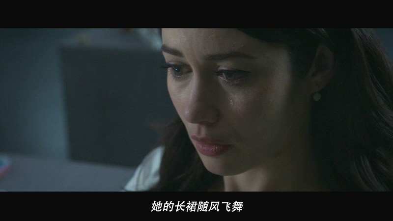 2019悬疑惊悚《翻译疑云》BD720P&BD1080P.多语中字截图