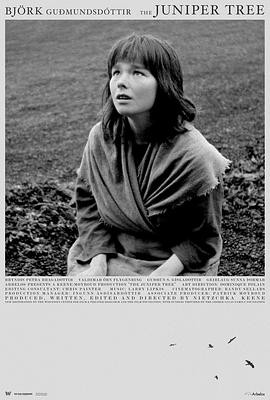 女巫恋人封面图