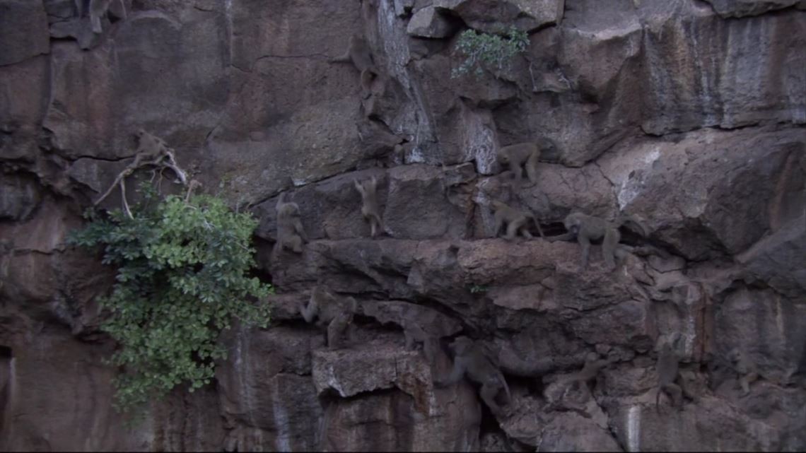 《大裂谷：美丽的非洲心脏》2010BBC高分纪录片.BD720P.中英双字截图