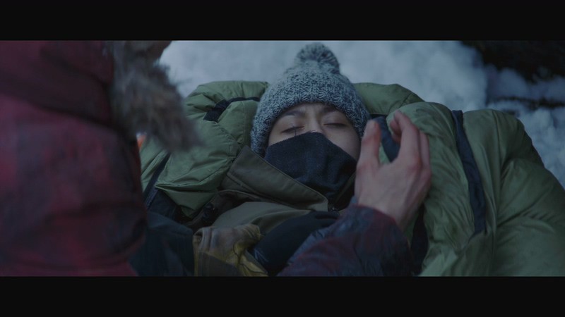 [BD-MP4] 北极 / Arctic (2018)截图