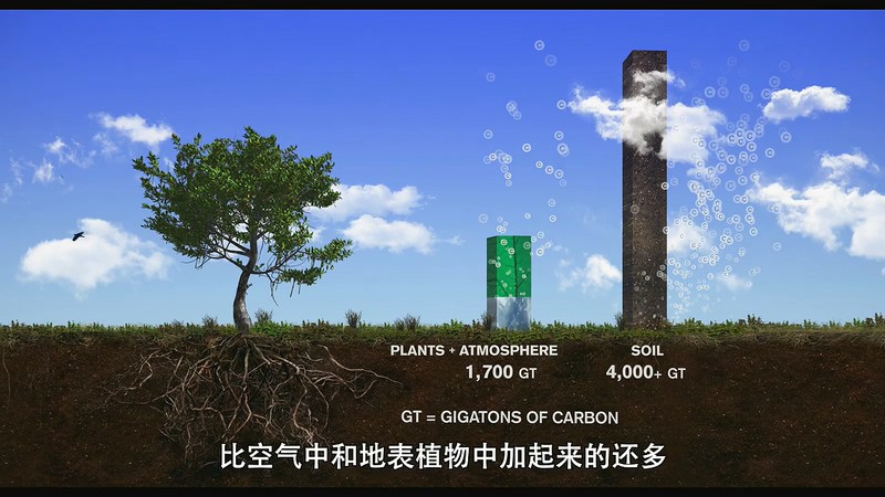 2020美国剧情《亲吻地面》HD720P&HD1080P.英语中字截图