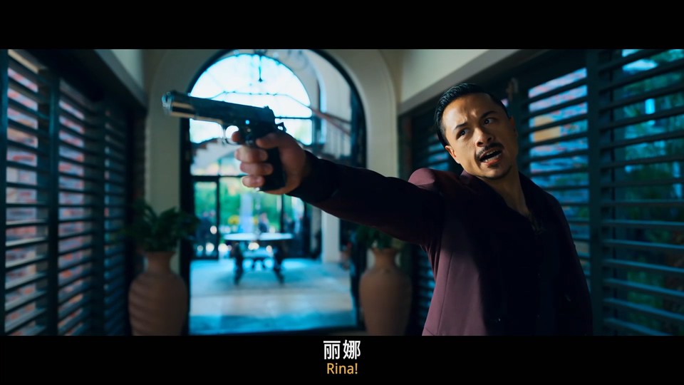 2022德国犯罪《蒸发密令：重生》HD1080P.英语中英双字截图