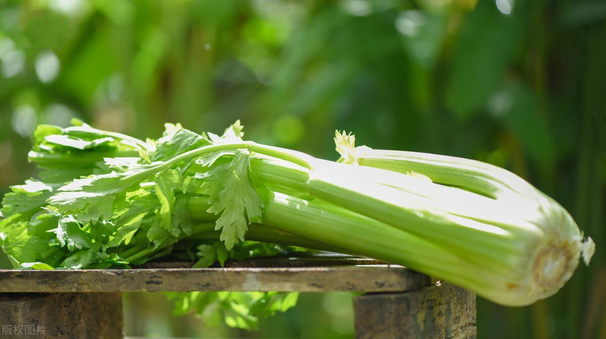 牛毛七_牛毛七的功效与作用_牛毛七的图片_百草汇