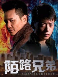 陌路兄弟封面图
