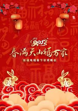 年新疆电视春节联欢晚会封面图