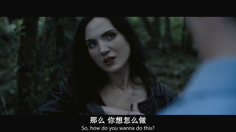 2019惊悚犯罪《邦迪和绿河杀手》HD720P&HD1080P.英语中英双字截图