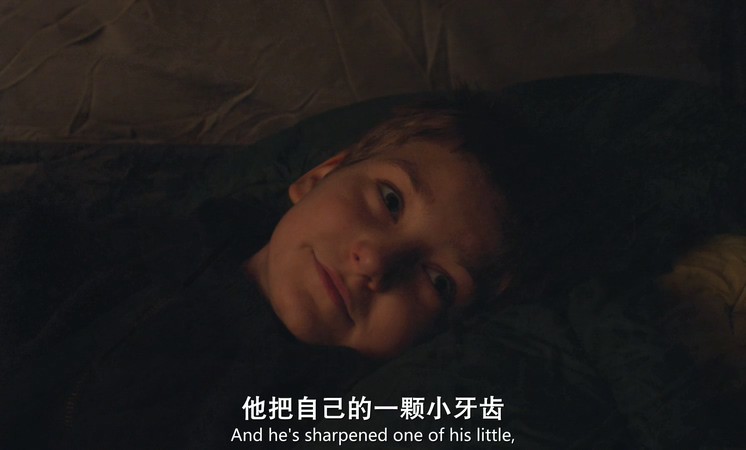 2019美国剧情《我的生命之光》BD720P&BD1080P.英语中英双字截图