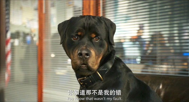 2018冒险喜剧《汪星卧底》BD720P.英语中英双字截图;jsessionid=Wb-Av6n0Di2nZXP5mQqmXcUEOI6LnqIKCOlWItZw