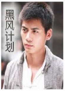 不良英雄封面图