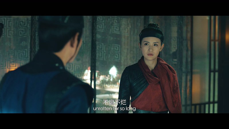 2020赵文卓动作《狄仁杰探案》HD1080P.国语中字截图