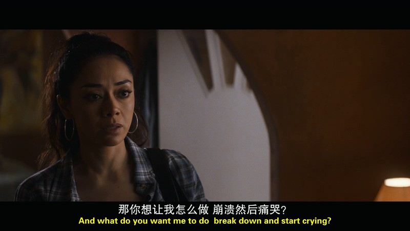 2019动作剧情《墨西哥裔美国人》BD720P&BD1080P.英语中英双字截图