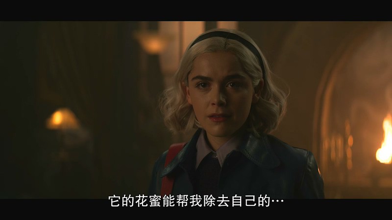 2020美剧《萨布丽娜的惊心冒险 第三季》8集全.HD720P.英语中字截图