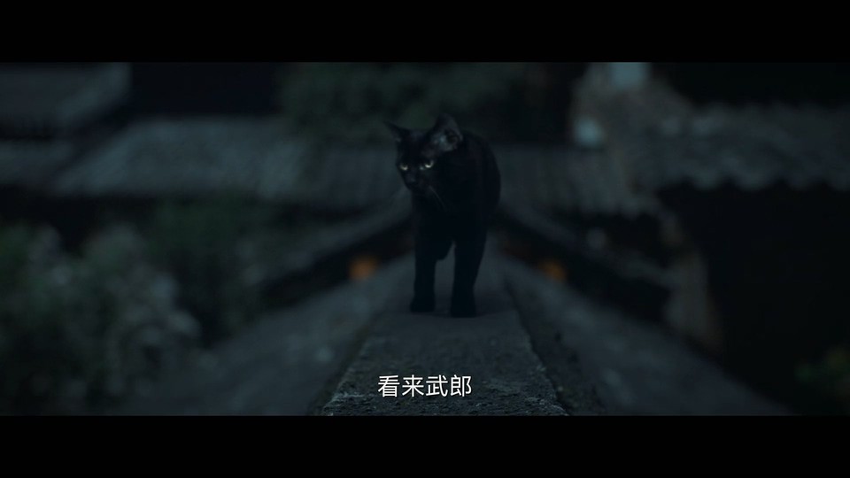 2022国剧《唐朝诡事录》更至06集.HD1080P.国语中字截图