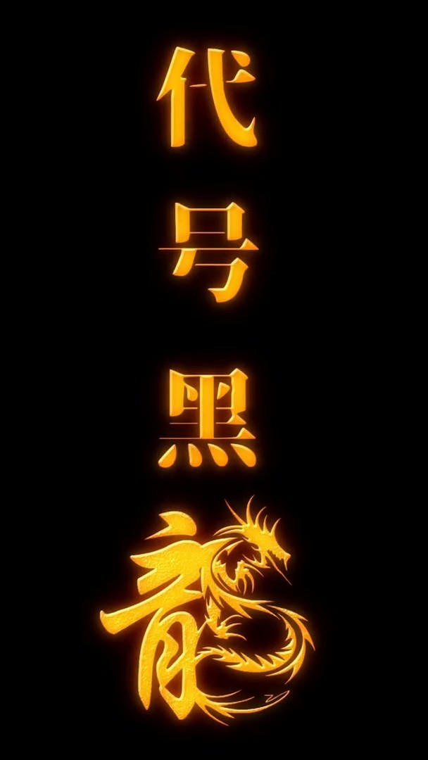 代号黑龙封面图