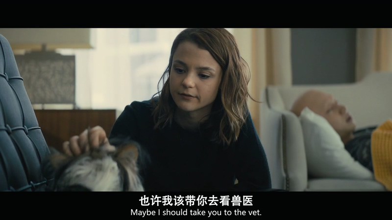 2019家庭喜剧《一条狗的使命2》BD720P&BD1080P.英语中英双字截图