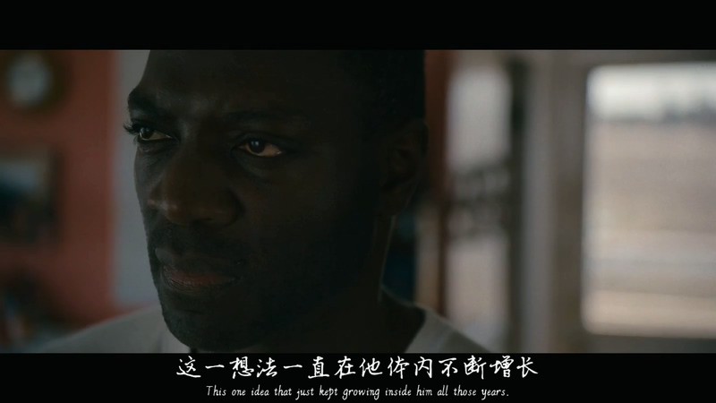 2017惊悚犯罪《沼泽地》HD720P.英语中英双字截图