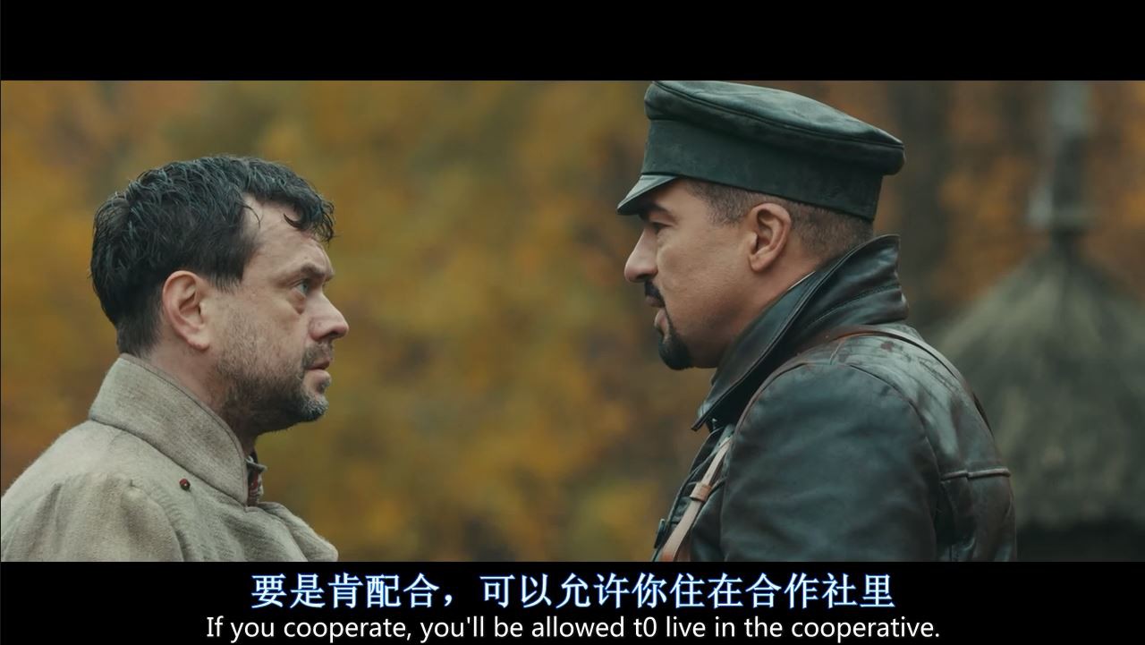 《苦难的收获/乌克兰悲歌》2017爱情战争.BD720P.中英双字截图