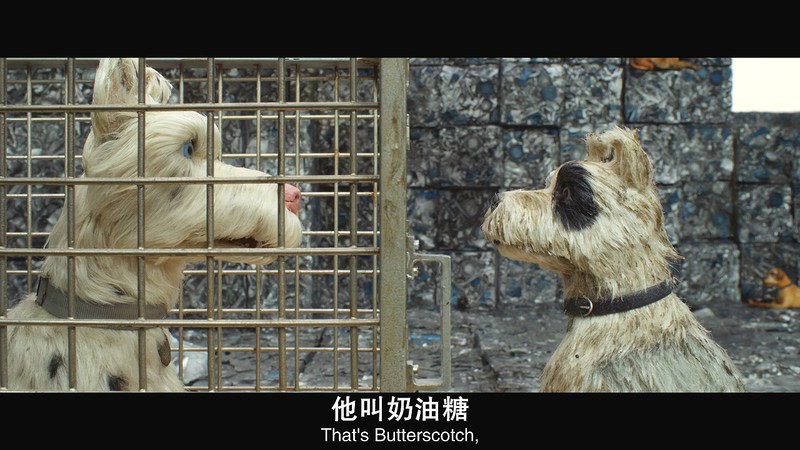 2018动画冒险《犬之岛》BD720P.英语中英双字截图