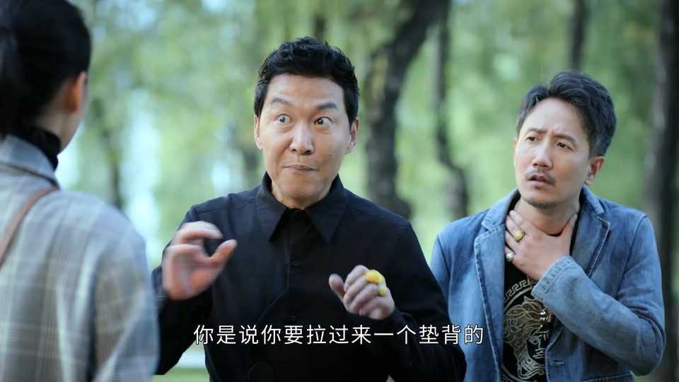 2021国剧《民警老林的幸福生活》40集全.HD1080P.国语中字截图