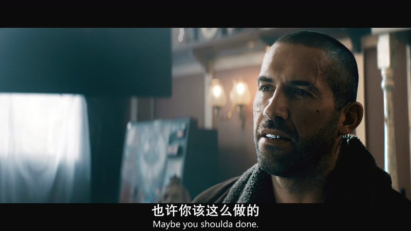 2019动作犯罪《复仇者》HD720P&HD1080P.英语中英双字截图