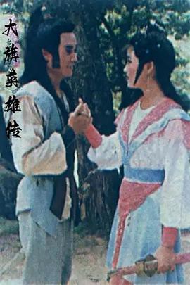 大旗英雄传台湾版封面图