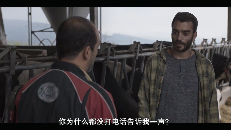 2019西班牙高分剧情《十七岁》HD720P&HD1080P.西班牙语中字截图