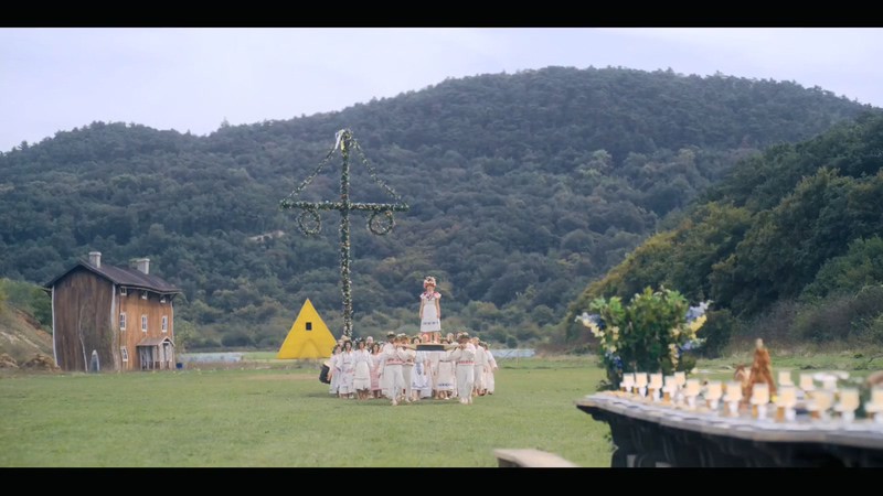 2019悬疑惊悚《仲夏夜惊魂》HD720P&HD1080P.英语中英双字截图