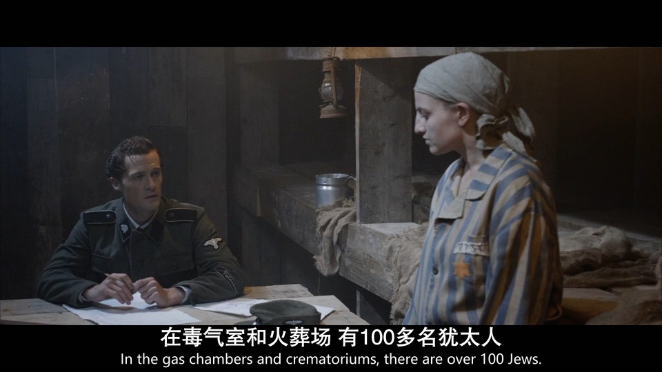 2018战争惊悚《奥斯维辛集中营的守卫》BD1080P.英语中英双字截图