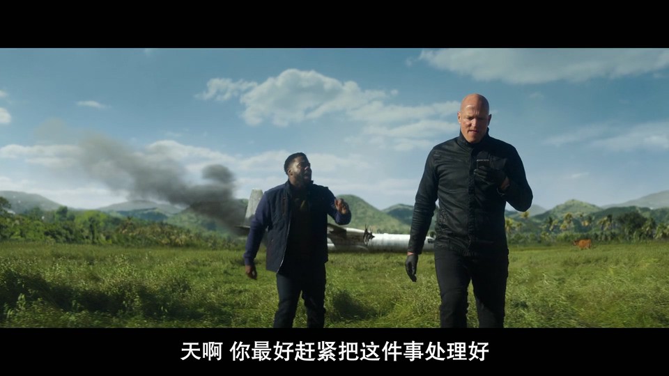 2022动作惊悚《多伦多来的男人》HD1080P.英语中字截图