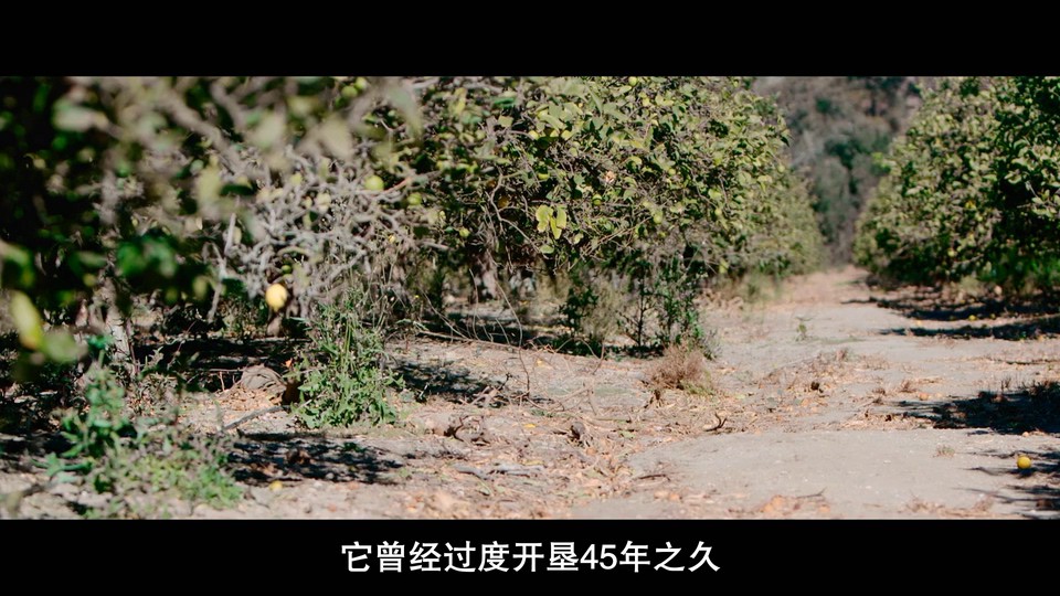 2022美国纪录《最大的小小农场：回归》HD1080P.英语中字截图