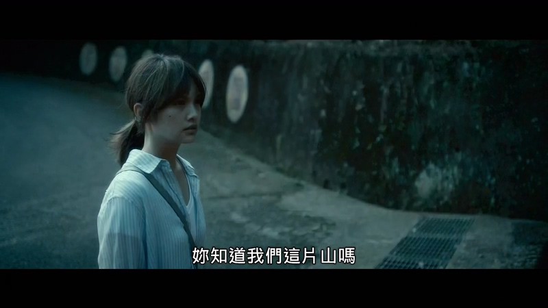 2017惊悚恐怖《红衣小女孩2》HD1080P.国语中字截图