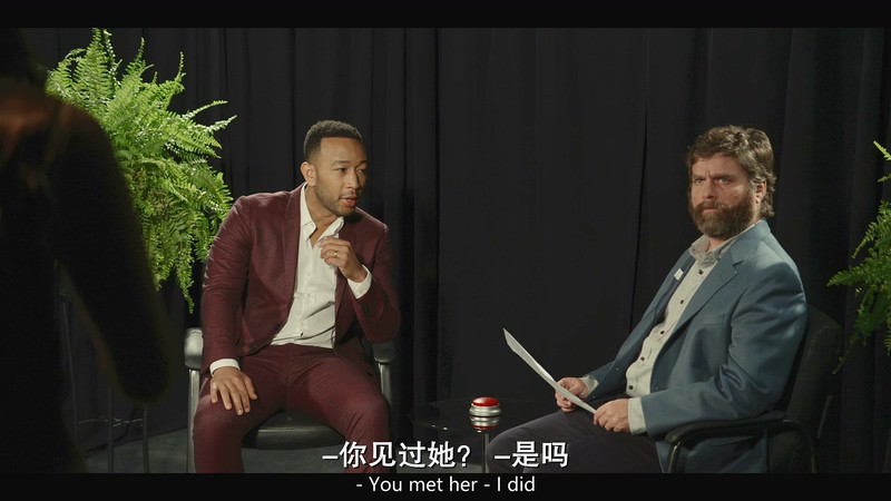 2019美国喜剧《蕨间访谈：电影版》HD720P&HD1080P.英语中英双字截图