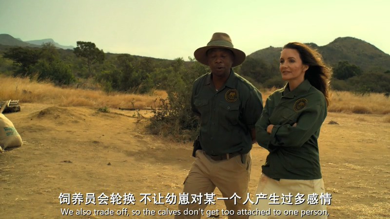 2019美国爱情《野外圣诞节》HD720P&HD1080P.英语中英双字截图