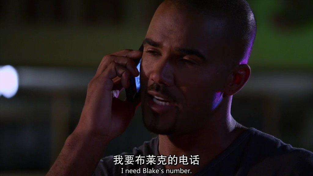 2012犯罪悬疑《犯罪心理第八季》24集全.HD1080P.英语中英双字截图