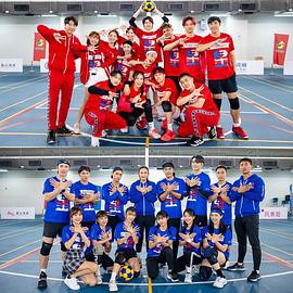 全明星运动会第四季封面图