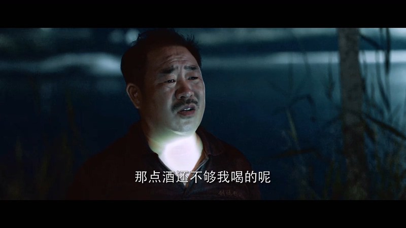 2021国产喜剧《我来自北京之福从天降》HD1080P.国语中字截图