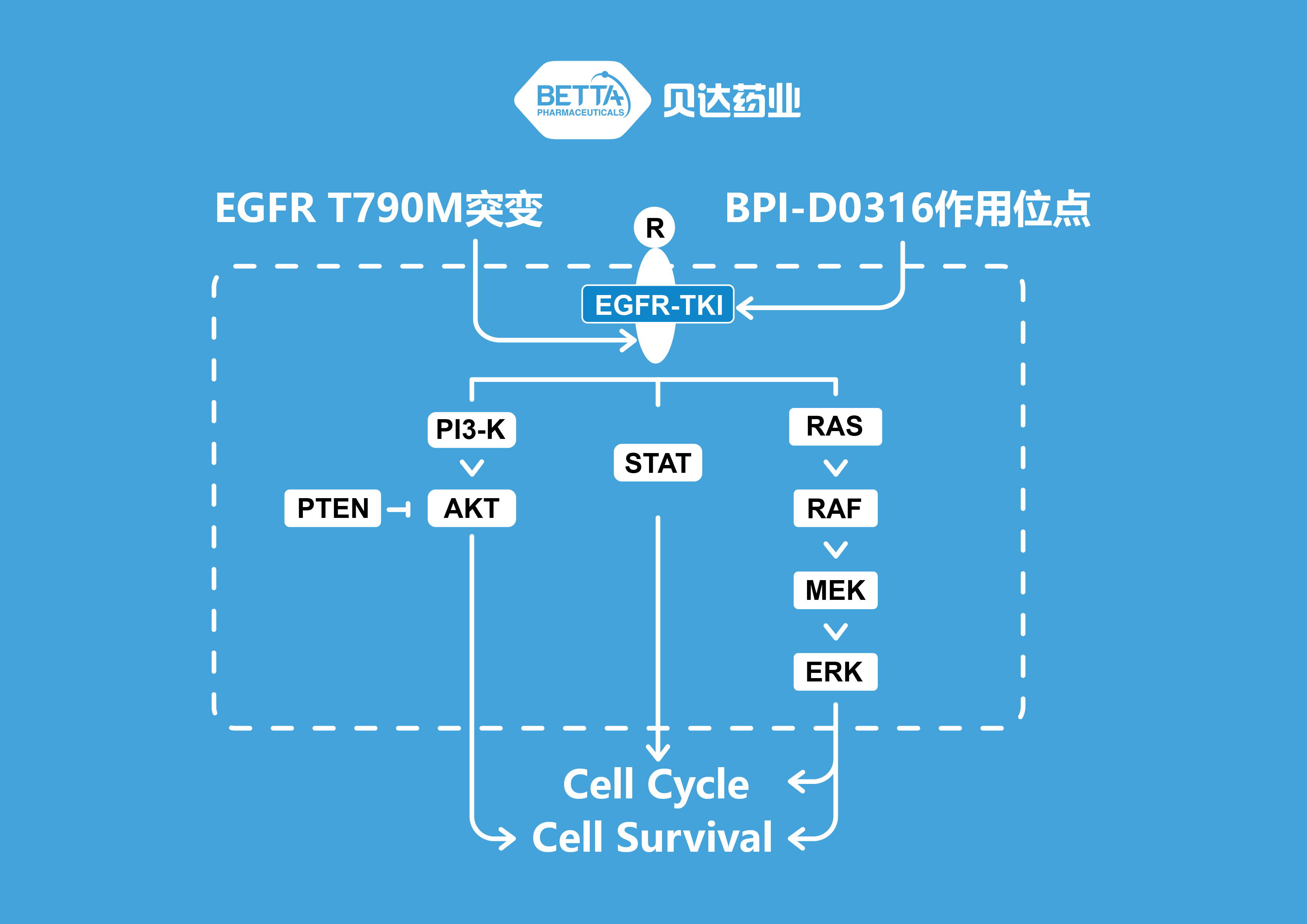 贝达药业BPI-D0316项目II期临床完成受试者入组-贝达药业股份有限公司【官网】