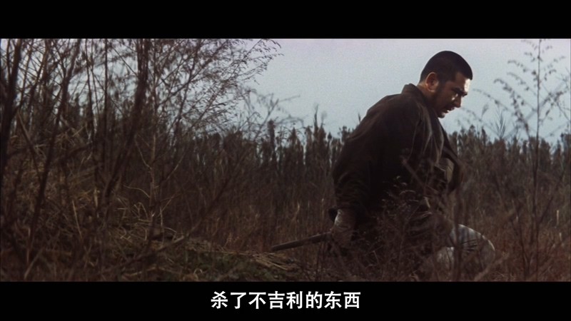 1967日本动作《座头市铁火旅》BD720P&BD1080P.日语中字截图