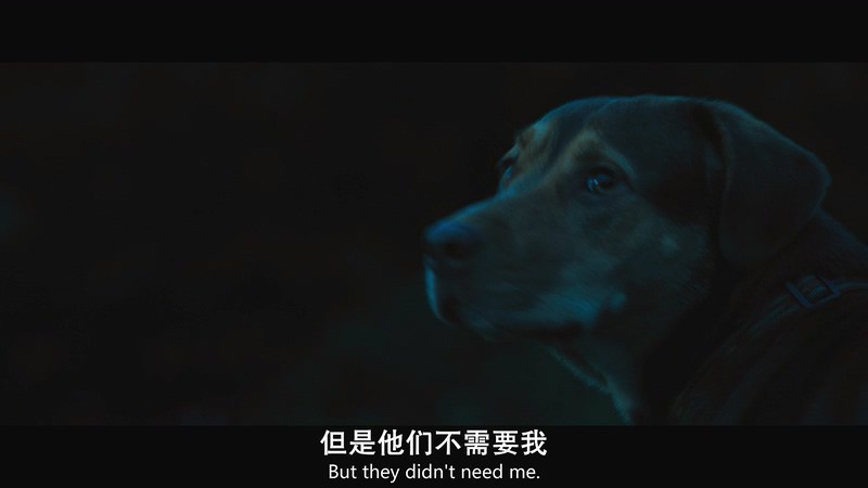 [BD-MP4]一条狗的回家路 / 贝拉400哩的约定(港) / 为了与你相聚(台) / A Dog's Way Home (2019)截图;jsessionid=obYHlk4AbqSTgRrrIMjNGOWNyX4i4Is7oRkgE556