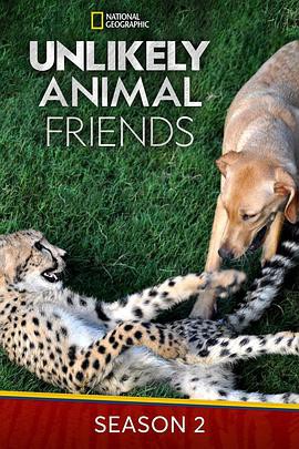 不可思议的好朋友第二季封面图