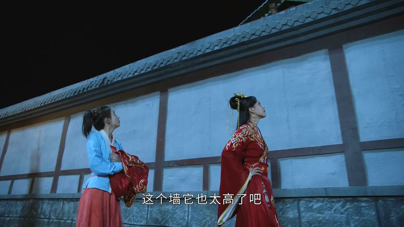 2020国剧《将军家的小娘子》30集全.HD1080P.国语中字截图